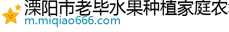 溧阳市老毕水果种植家庭农场